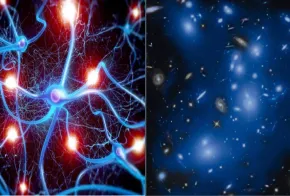 Cerebro y universo